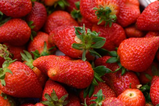 Vibrant, juicy strawberries fill the display at a bustling local market, their rich red color contrasting with lush green leaves as shoppers browse for the freshest produce.