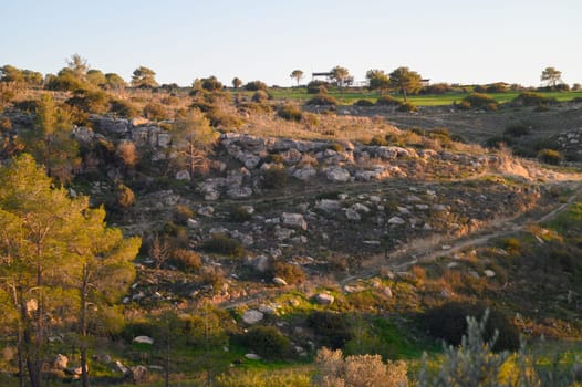 Golden sunlight filters down onto a rugged hillside, showcasing the contrast between rocky terrain and lush greenery. The peaceful atmosphere invites exploration and reflection.