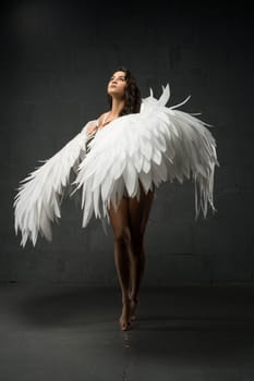 Full body of graceful barefoot female model wearing lace bodysuit and feather wings standing on tiptoes look at light