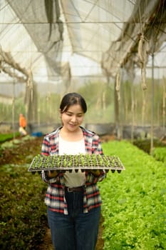 Female farm worker holding a tray of vegetable seedlings inside a greenhouse..