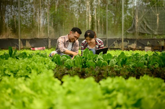 Male and female farmers using digital tablet while examining plants in a greenhouse.