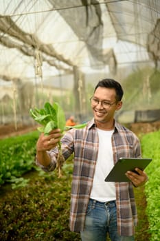 Smiling meal farmer using technology to assess crop quality inside a greenhouse. Smart farming concept.