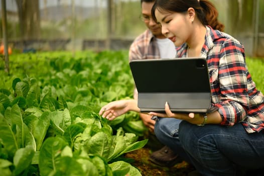 Male and female farmers using digital tablet while examining plants in a greenhouse.
