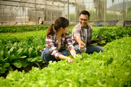 Farmers discussing farming progress while using a digital tablet in greenhouse.