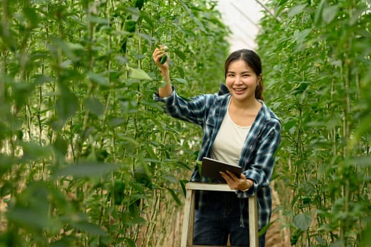 Smiling young woman using digital tablet while inspecting green bell pepper plants in a greenhouse.
