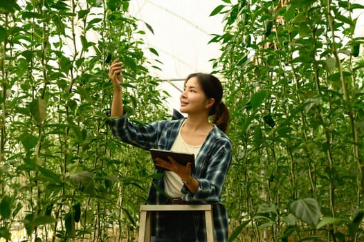 Smiling young woman using digital tablet while inspecting green bell pepper plants in a greenhouse.