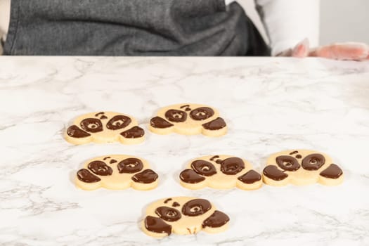 Full Batch of Panda Face Cookies Description: Front view of a full batch of decorated panda face cookies arranged on a marble surface, each detailed with chocolate royal icing for eyes, ears, and nose.