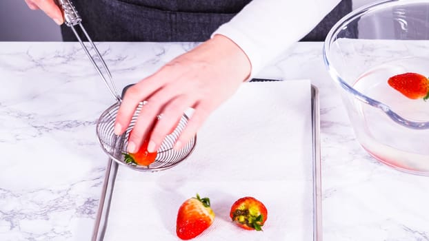 Juicy red strawberries, freshly washed, are spread out to dry on a baking sheet, carefully lined with paper towels to absorb excess moisture and prevent mold.