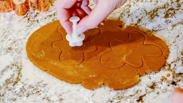 Using various festive cookie cutters, we're cutting out charming gingerbread cookies from the rolled dough on the sleek marble counter, bringing holiday cheer to the modern kitchen.