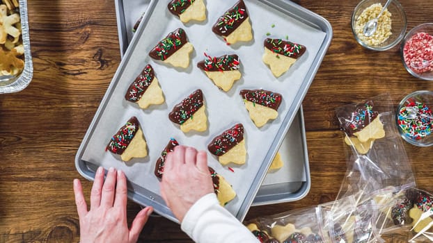 Flat lay. Carefully packaging Christmas cutout cookies, half-dipped in chocolate, sprinkled with crushed nuts, and presented in clear cellophane wrapping.