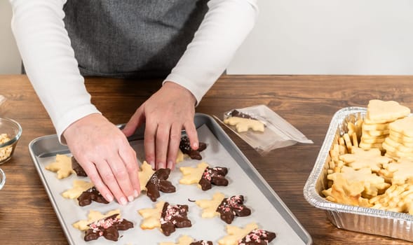 Carefully packaging Christmas cutout cookies, half-dipped in chocolate and presented in clear cellophane wrapping, perfect for festive gifting.