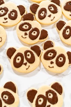 Overhead view of a batch of panda cookies with completed chocolate icing designs for the Chocolate Royal Icing Recipe. Each cookie features a cute panda face, giving a uniform and adorable look.