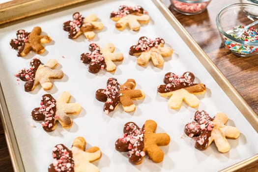 Preparing star-shaped cookies, half-dipped in chocolate, accented with peppermint chocolate chips for the holidays.