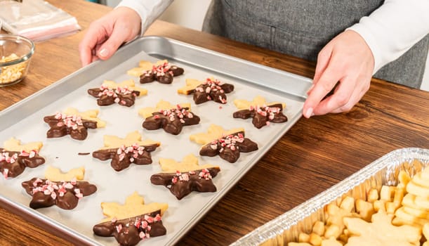 Preparing star-shaped cookies, half-dipped in chocolate, accented with peppermint chocolate chips for the holidays.