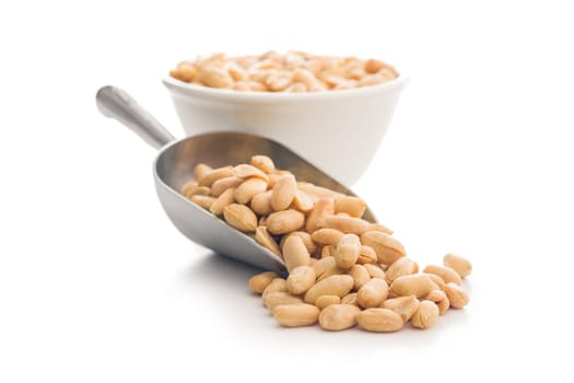 Roasted salted peanuts in scoop isolated on a white background.