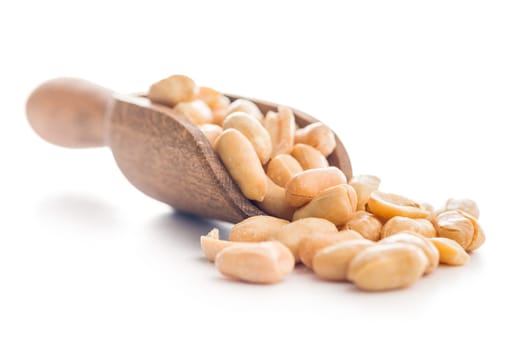 Roasted salted peanuts in scoop isolated on a white background.