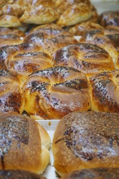 Golden brown bread rolls cooling on a tray, showcasing various textures.