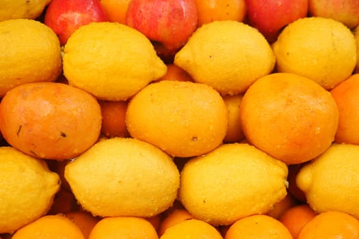 Fresh lemons and oranges arranged neatly at an outdoor market stall.