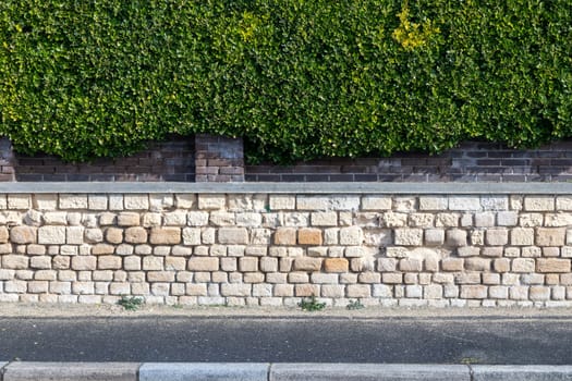 Green trimmed bush hedge with stone basement and empty sidewalk in the city, horizontal background.