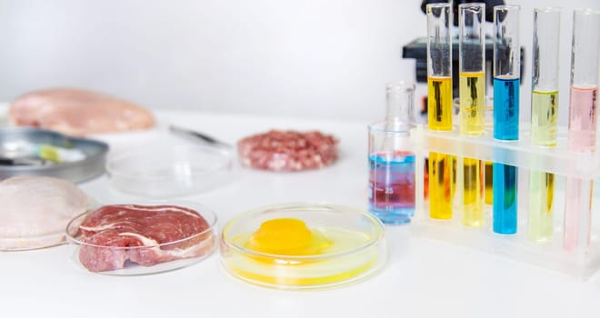 Examine meat in the laboratory. Selective focus. Food.