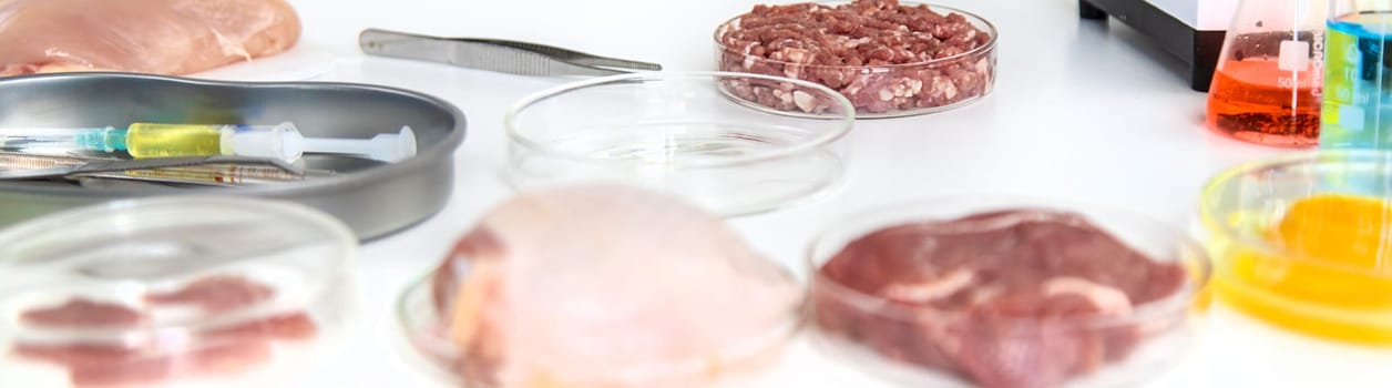 Examine meat in the laboratory. Selective focus. Food.