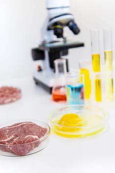 Examine meat in the laboratory. Selective focus. Food.