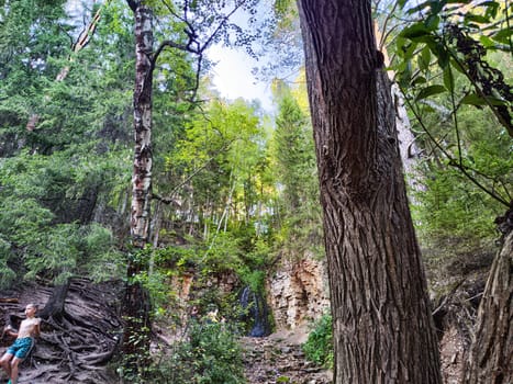 Adventurers enjoy a serene hike through a vibrant green forest, discovering a hidden waterfall amidst towering trees.