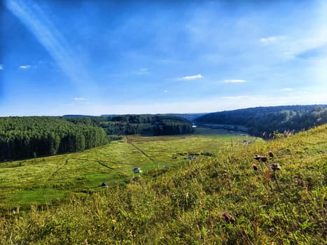 Verdant fields stretch across the landscape, bordered by dense forests under clear skies in a tranquil setting during late afternoon.