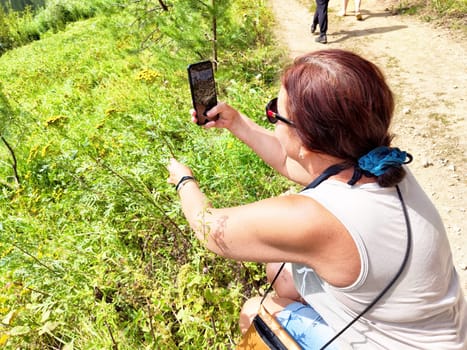 A woman enjoys taking a picture with her smartphone amid vibrant plants while walking on a wooded path during bright weather.