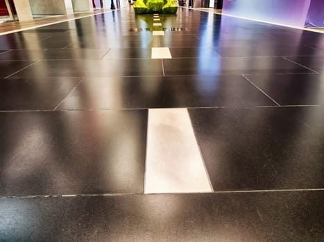 Polished black tiles create a sleek walkway featuring a decorative green planter at center, inviting visitors to explore the space.