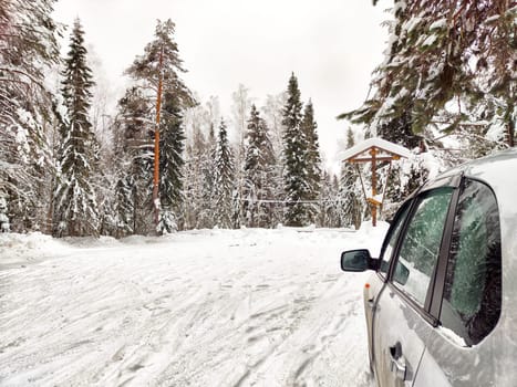 A car is parked in a snow-covered area surrounded by tall evergreen trees and a wooden gazebo, creating a quiet winter retreat.