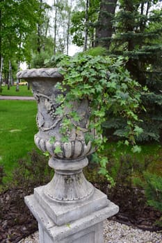 A large decorative stone vase set outdoors. It is decorated with lush green ivy that cascades down the sides. The vase stands on a pedestal in a garden or park with manicured lawns surrounding trees.
