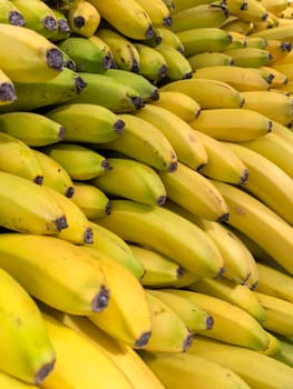 A vibrant display of ripe bananas piled together. The contrast between the yellow and green bananas highlights varying stages of ripeness, ideal for market stock photos.