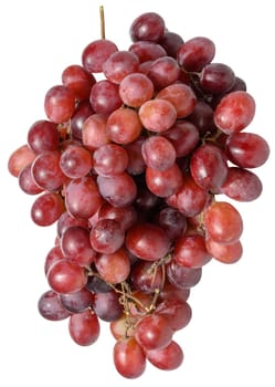 Bunch of ripe, red grapes, isolated  background. The grapes are clustered together, showcasing their vibrant color and fresh appearance