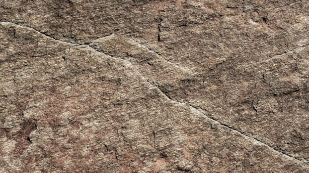 A close up of a rough, cracked rock surface with earthy brown and beige tones. The natural texture and weathered details make it ideal for backgrounds, geology themes, and organic material references.