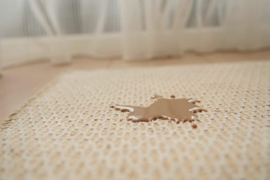 A dark liquid stain has spread across a woven mat inside a bright room.