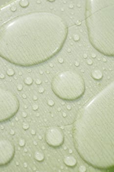Water droplets gather on a light green surface, reflecting soft light.