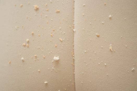 Crumbs scattered on a sofa, dirty sofa concept ,
