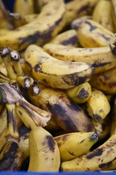Bananas with brown spots fill a market stall in the afternoon light.