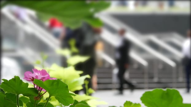 New York City, United States - 11 Sept 2023: Manhattan Midtown Lexington avenue. Defocused people pedestrian exiting subway metro station, stairs on 53 street, USA urban life. Park greenery, flowers.