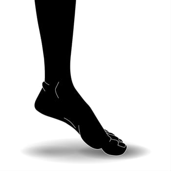 Illustration of a human foot on a white background with a shadow