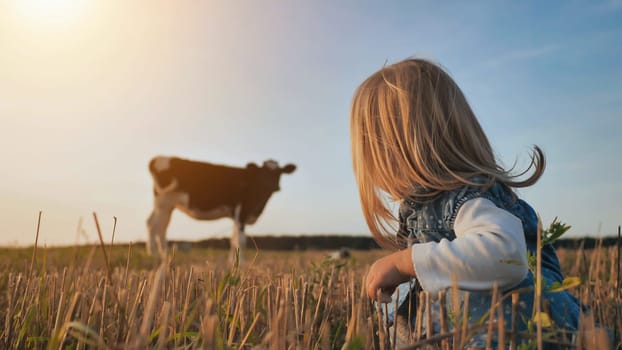 A little girl sits in a field against the backdrop of a lonely cow