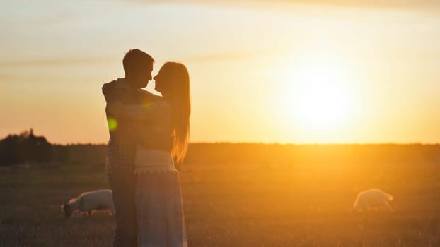 Silhouette of lovers hugging couples on a background of sunset and goats