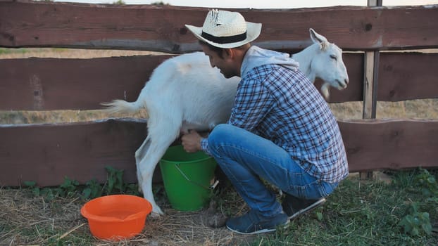 A young man milks his goat in the village