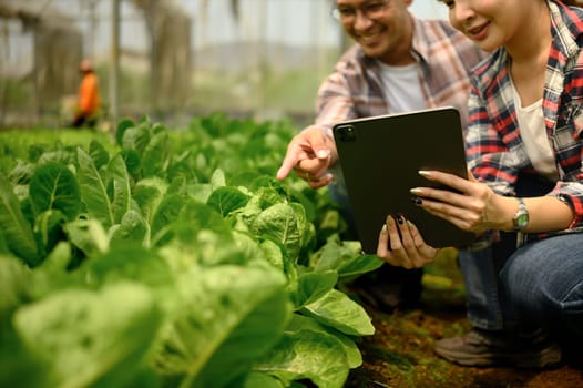 Male and female farmers using digital tablet for crop monitoring and digital farming records.