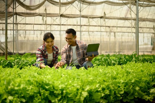 Male and female farmers using digital tablet for crop monitoring and digital farming records.