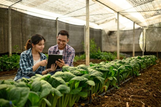 Modern farmers analyzing crop data on digital tablet. Concept of smart farming.