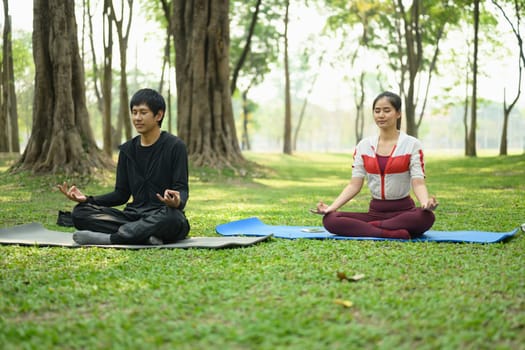 Serene couple practicing yoga together in a park. Wellness and mental health content.