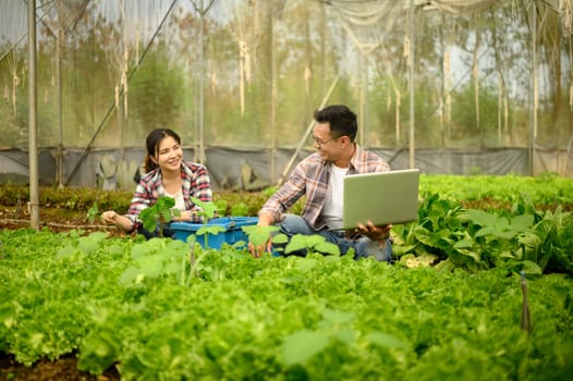 Smiling male and female farmers working together in a greenhouse, using a laptop to monitor crop data.