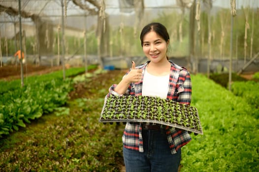 Smiling female agripreneur giving thumbs up while holding a tray of vegetable seedlings in a greenhouse.